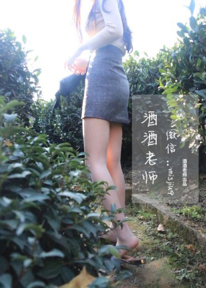 大小姐和看门犬_电影网在线观看