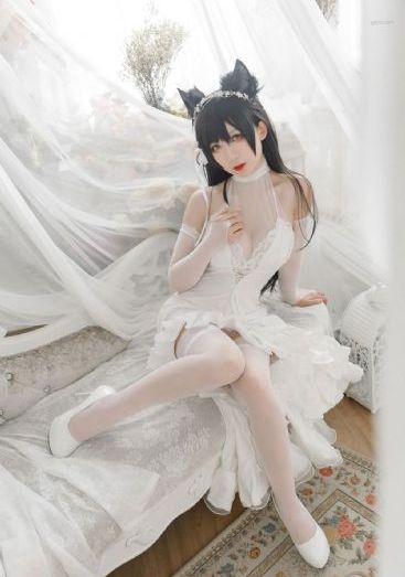 天下长河电视剧免费看完整版_1080免费观看最新